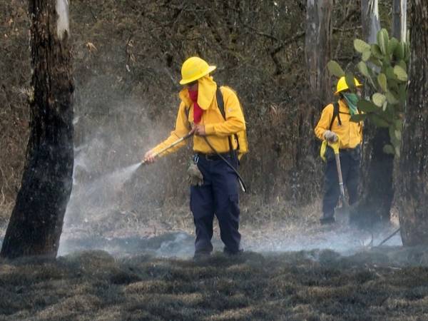 Agudiza incendio forestal en Coyomeapan, interviene la Sedena
