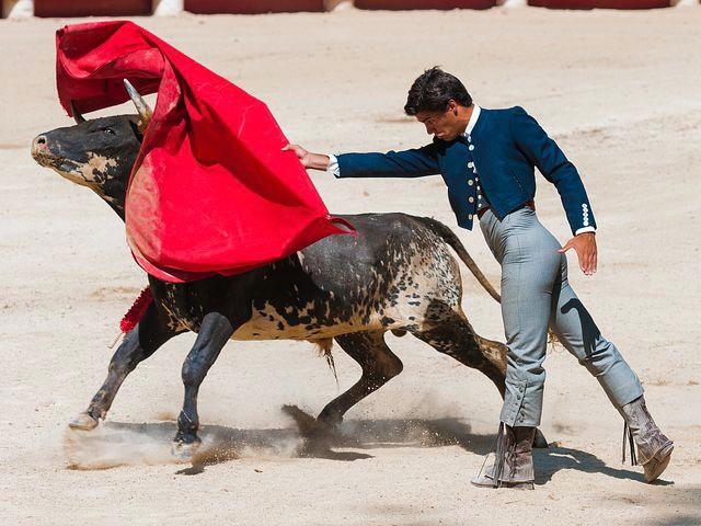 Aprueban, en comisiones, prohibir corridas de toros en Puebla