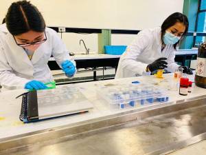 Investigan alumnas de la UTP compuestos para crear medicamentos anticancerígenos
