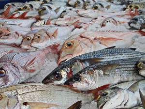 Comerciantes de pescados y mariscos estiman repunte en ventas de 70% en cuaresma