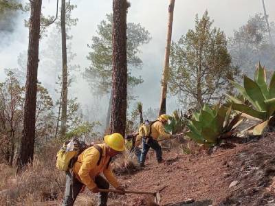 Controlado al 100% incendio forestal en Ixtacamaxtitlán