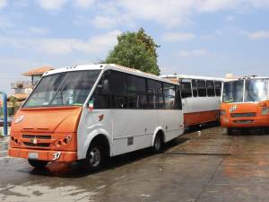 Ajuste a la tarifa del transporte público podría resolverse en dos semanas