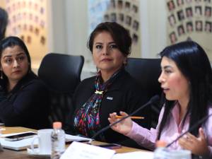 En Comisión del Congreso comparece la titular de la Secretaría de Igualdad Sustantiva