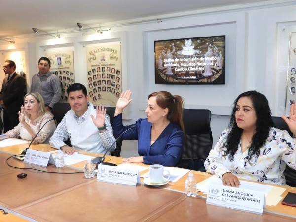 Aprueba Comisión del Congreso exhorto para prevenir incendios forestales   