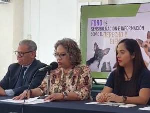 Alista BUAP Foro de Bienestar Animal