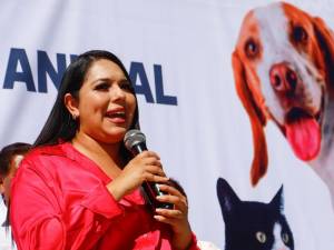 Realiza Gobierno de Cholula Mega Jornada de Esterilización