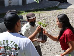 Con jornadas de reforestación, desarrollamos espacios verdes: Armenta 