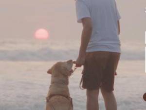 EnlazaDOS de Thankful Dog, la campaña que apoya a Escuela para Entrenamiento de Perros Guía