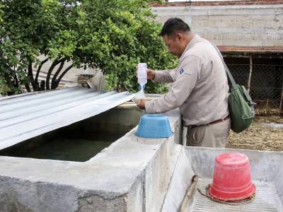 Puebla, sin nuevos casos por dengue en últimas 24 horas: Salud