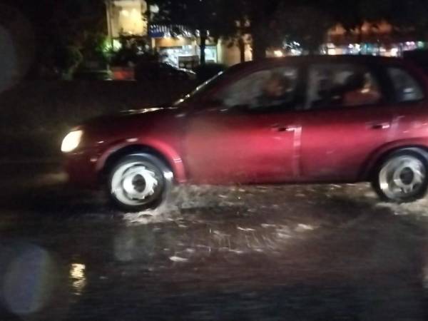 Inundaciones y caída de un árbol en el Centro deja la lluvia de este miércoles