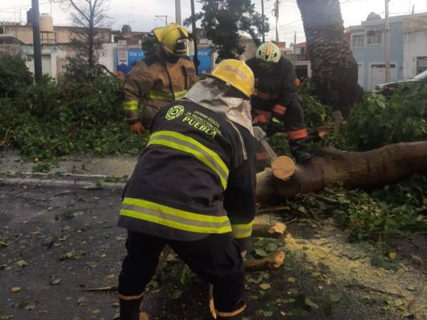 Ante emergencias naturales, SEGOB implementa acciones para el bienestar de la población