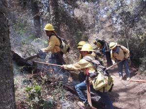 Combate Puebla seis incendios forestales