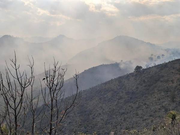 Van en Puebla 233 incendios: Sergio Salomón