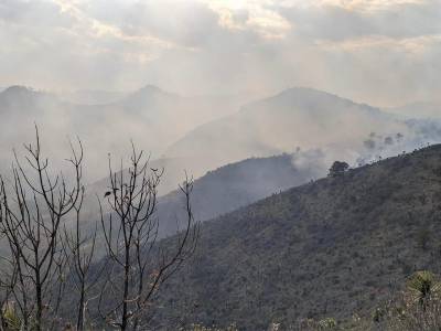 Van en Puebla 233 incendios: Sergio Salomón