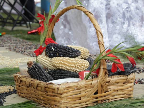 En Tetela de Ocampo, Cultura continúa con muestras gastronómicas del sistema milpa