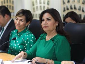 Secretaria de Medio Ambiente, Desarrollo Sustentable y Ordenamiento Territorial comparece en Comisión del Congreso