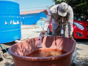 Hay 77 municipios de Puebla con casos de dengue: Salud