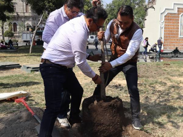 Celebra Gobierno de la Ciudad el 26 de enero como Día Municipal del Árbol Urbano