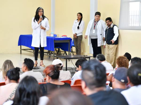 Instala Salud “Comando Jurisdiccional dengue 2024”