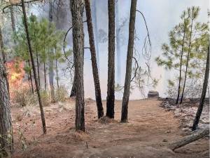 Combaten 14 incendios en la entidad, 6 ya se liquidaron: Salomón