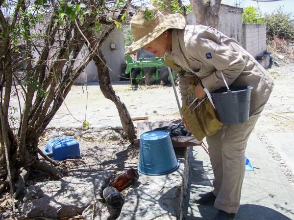 Reporta Salud 32 nuevos contagios de dengue