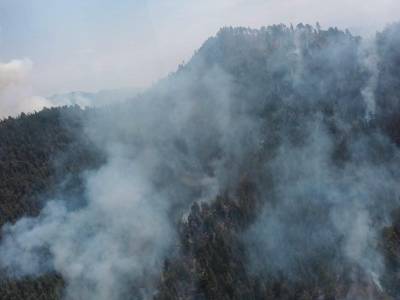 Intervienen tres órdenes de gobierno para liquidar incendio en Libres