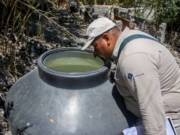 Sin contagios ni defunciones por dengue en las últimas 24 horas: Salud