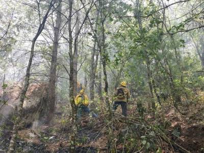 Controlan incendio en Chilchotla