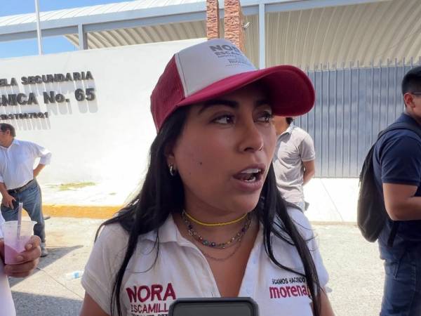 Acusa Nora Merino guerra sucia en el distrito XII federal, PAN vandaliza y baja propaganda 