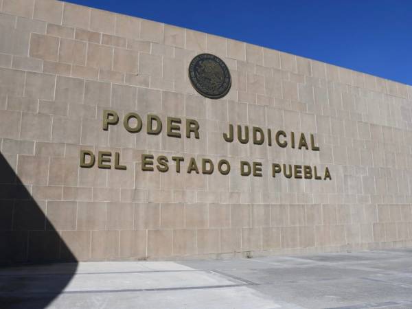 Poder Judicial determinará si especies rescatadas de maltrato seguirán en Cuacolandia