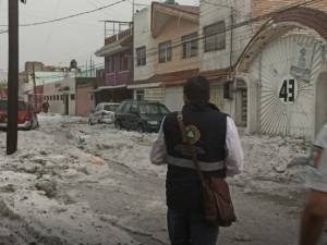 Lluvia cubren de hielo la capital poblana y derriba decenas de árboles