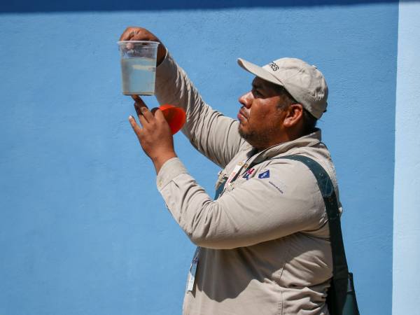 Concentran cinco municipios de Puebla el 60.4% de casos de dengue: Salud