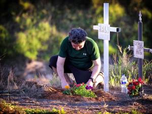 AMIS reporta aumento de 18% en cobertura de seguros para gastos funerarios