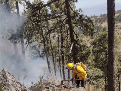 Llegaremos hasta las últimas consecuencias por el ataque a guardabosques