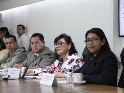 Avalan en Comisión que municipios cumplan con Ley de Imagen Institucional  