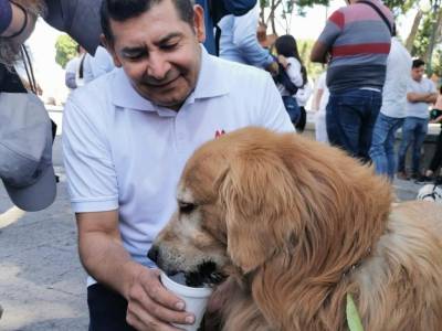 Armenta a favor del bienestar animal en la práctica