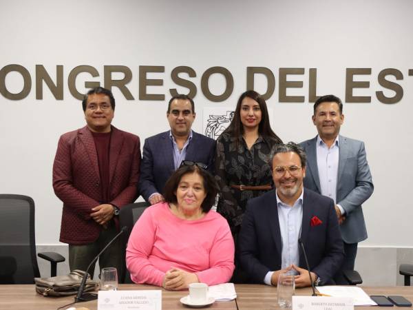 Avala Comisión del Congreso convocatoria para Consejo Consultivo de la CDH Puebla