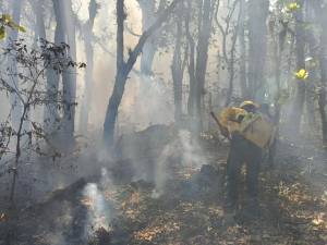 Salomón destaca que incendio forestal de Coyomeapan esta liquidado