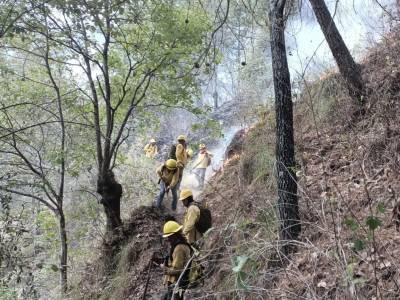 Liquidados los incendios forestales de Cuetzalan, Zoquitlán y Huauchinango