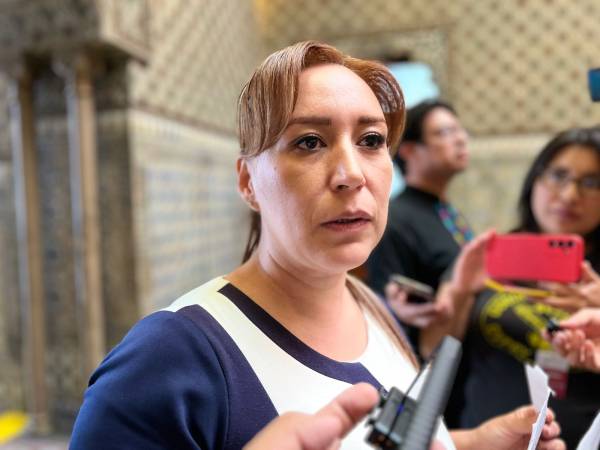 Augusta Díaz de Rivera debe frenar promoción de ERP con recursos del PAN