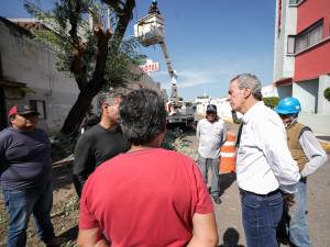 Atiende Pepe Chedraui posible caída de un árbol en Resurgimiento