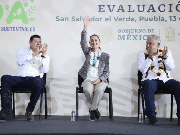 Con Sembrando Vida se siembra vida y patria; Claudia Sheinbaum va por continuidad de programas del Bienestar 