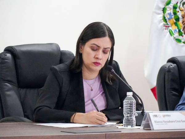 IEE asigna regidurias por principio de representación proporcional