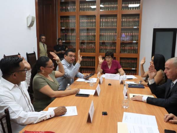 Avala Comisión del Congreso creación de nueva Ley de Bibliotecas del Estado de Puebla