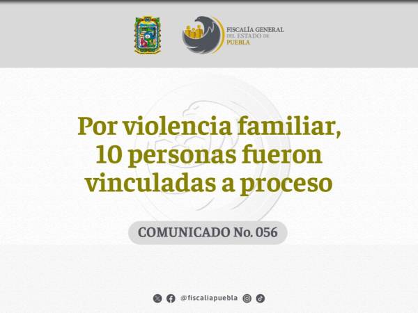 Por violencia familiar, 10 personas fueron vinculadas a proceso