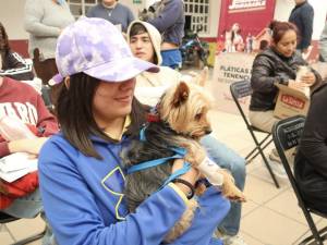 Éxito en la Jornada de Bienestar Animal en San Francisco Totimehuacan