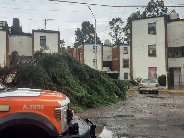 Lluvia desborda un río en Azumiatla, inunda bulevares y derriba árboles