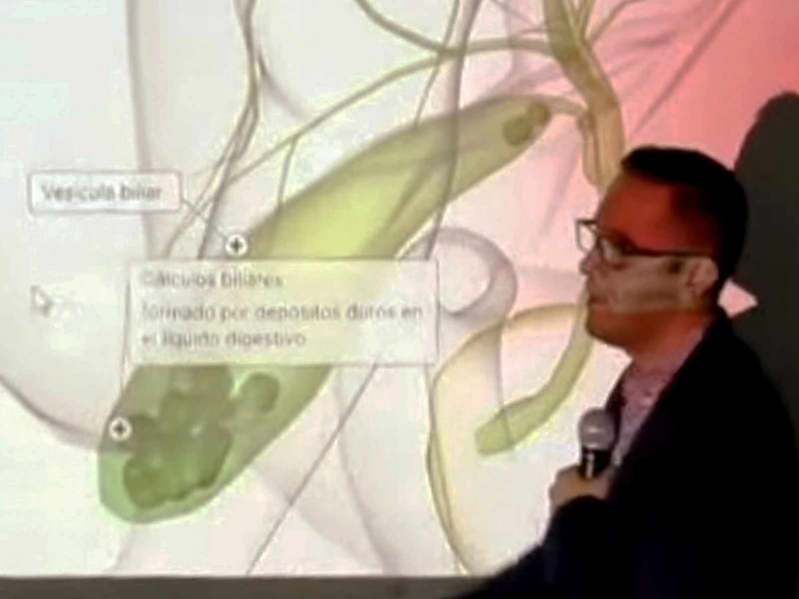 En el CRS se presentan las plataformas UpToDate y BiodigitalHuman, herramientas de apoyo a los especialistas de la salud