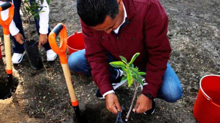 Impulsa Coronango el cuidado del medio ambiente con reforestación y programa Adopta un Árbol