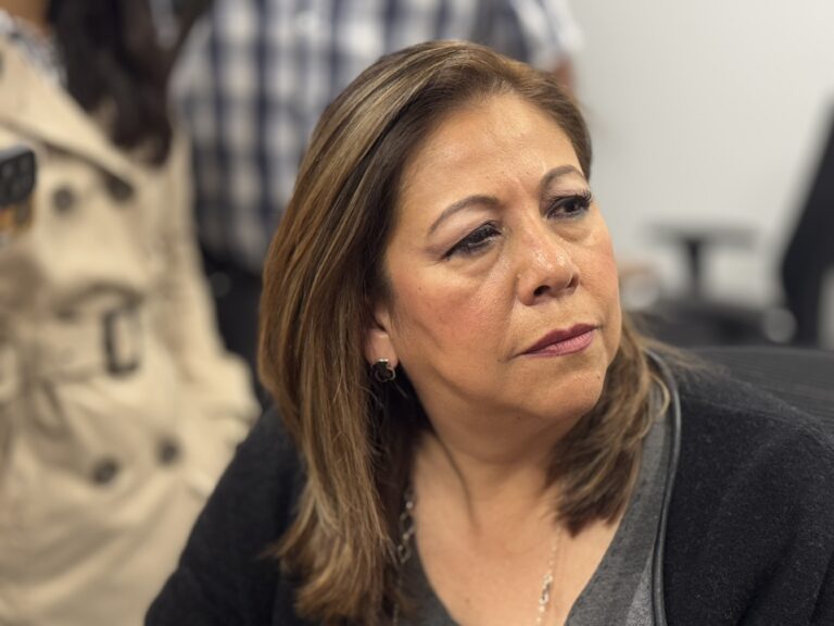 Viable que IEE asuma la organización de plebiscitos, se tiene que analizar la participación de partidos